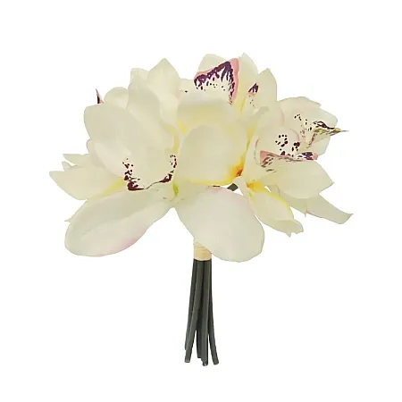 images/uploads/14600/thumb_1850 2025.webp